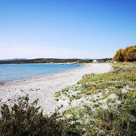 Monolocale A Due Passi Dal Mare Olbia