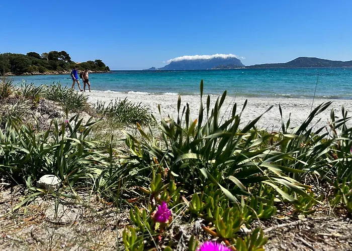 Monolocale A Due Passi Dal Mare * Olbia