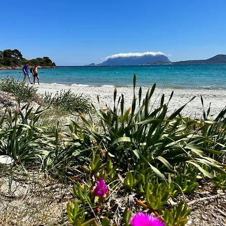 Monolocale A Due Passi Dal Mare * Olbia