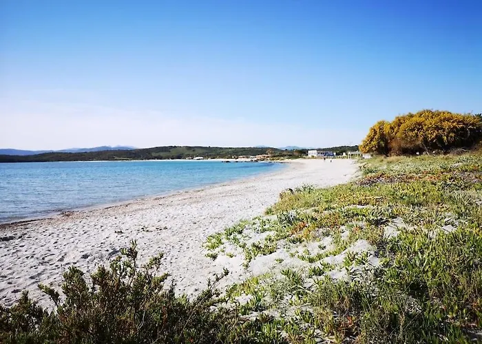 Monolocale A Due Passi Dal Mare Olbia